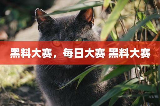 黑料大赛，每日大赛 黑料大赛