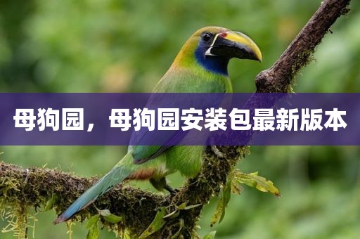 母狗园，母狗园安装包最新版本