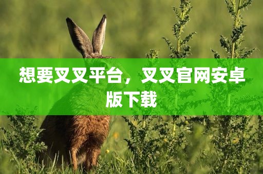 想要叉叉平台，叉叉官网安卓版下载