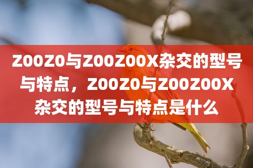 Z00Z0与Z00Z00X杂交的型号与特点，Z00Z0与Z00Z00X杂交的型号与特点是什么
