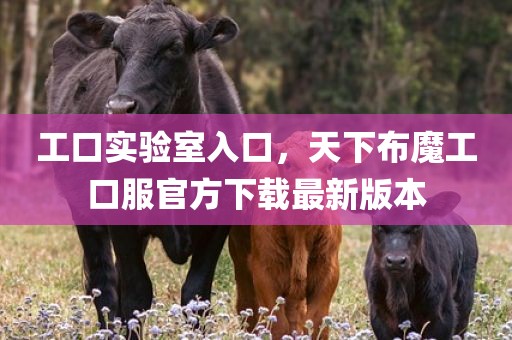 工口实验室入口，天下布魔工口服官方下载最新版本