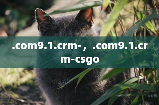 .com9.1.crm-，.com9.1.crm-csgo