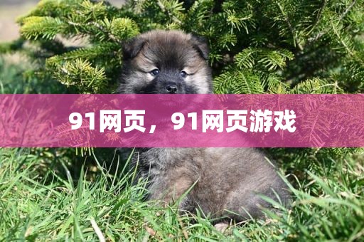 91网页，91网页游戏