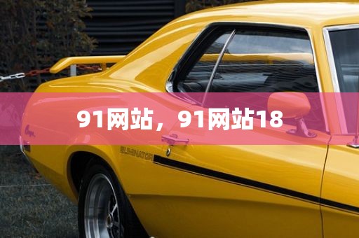 91网站，91网站18