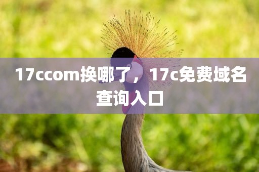 17ccom换哪了，17c免费域名查询入口