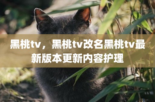 黑桃tv，黑桃tv改名黑桃tv最新版本更新内容护理