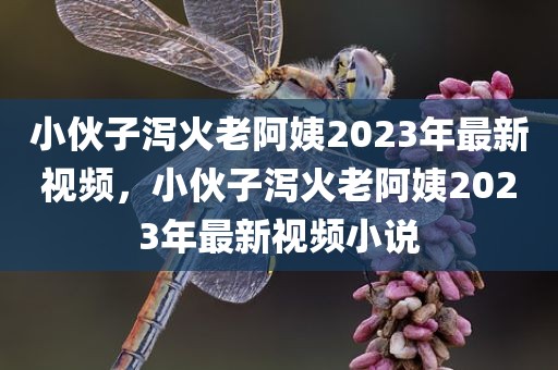 小伙子泻火老阿姨2023年最新视频，小伙子泻火老阿姨2023年最新视频小说