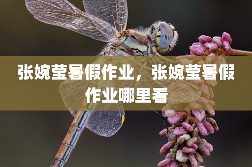 张婉莹暑假作业，张婉莹暑假作业哪里看