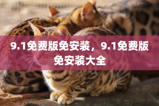 9.1免费版免安装，9.1免费版免安装大全