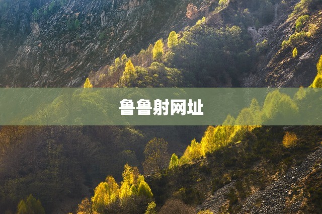 鲁鲁射网址