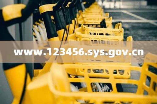 www.123456.sys.gov.cn