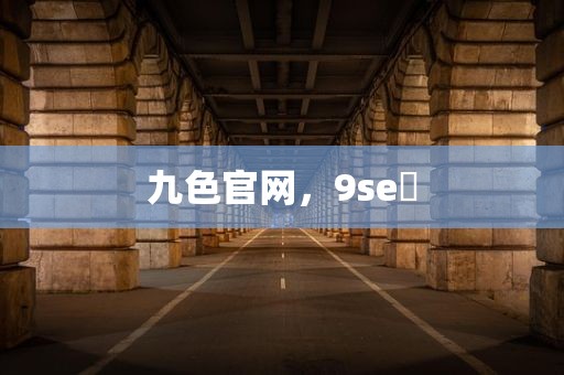 九色官网，9se 