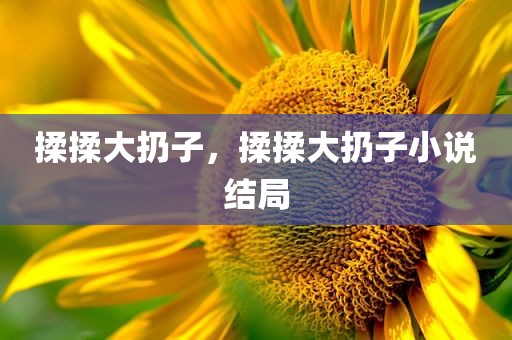 揉揉大扔子，揉揉大扔子小说结局