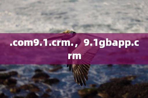 .com9.1.crm.，9.1gbapp.crm