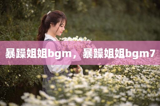 暴躁姐姐bgm，暴躁姐姐bgm7
