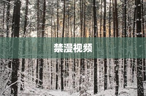 禁漫视频