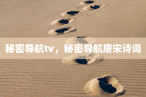 秘密导航tv，秘密导航唐宋诗词