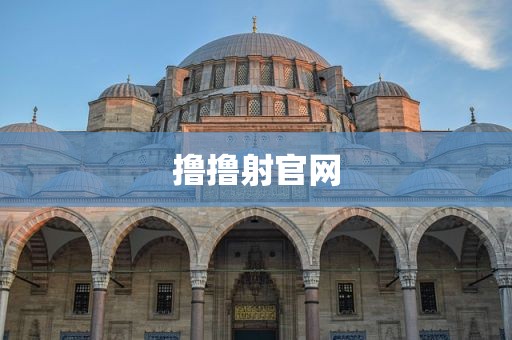 撸撸射官网