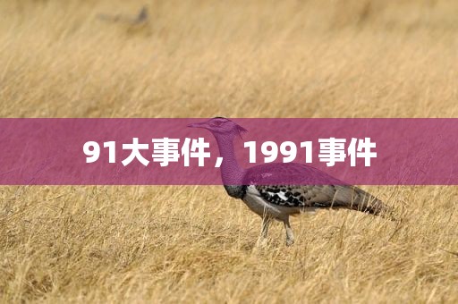 91大事件，1991事件