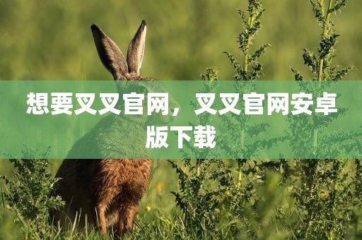 想要叉叉官网，叉叉官网安卓版下载