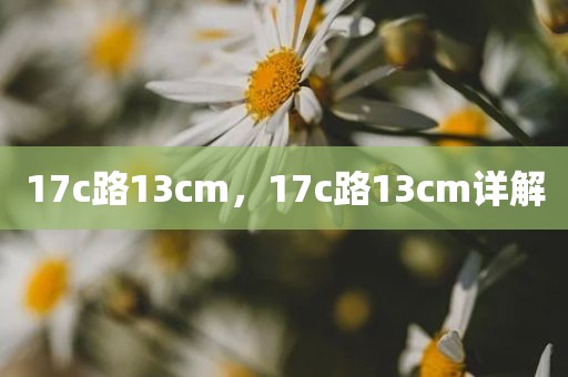17c路13cm，17c路13cm详解