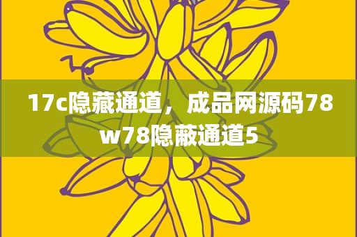 17c隐藏通道，成品网源码78w78隐蔽通道5