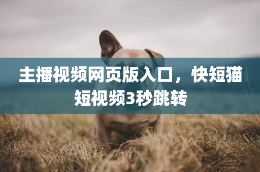 主播视频网页版入口，快短猫短视频3秒跳转