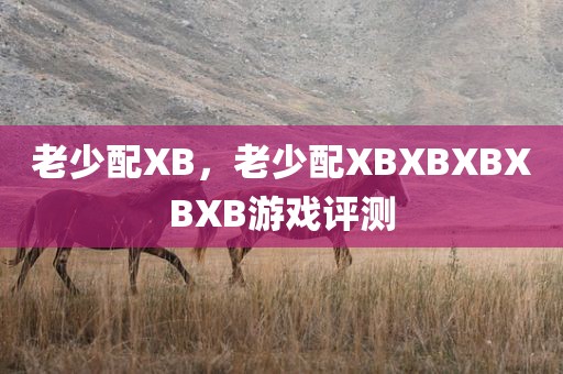 老少配XB，老少配XBXBXBXBXB游戏评测