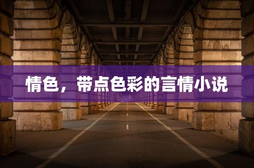 情色，带点色彩的言情小说