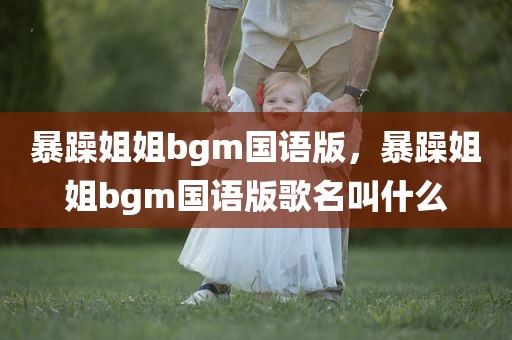 暴躁姐姐bgm国语版，暴躁姐姐bgm国语版歌名叫什么