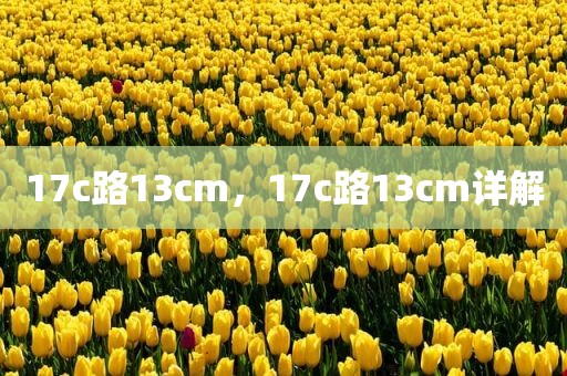 17c路13cm，17c路13cm详解