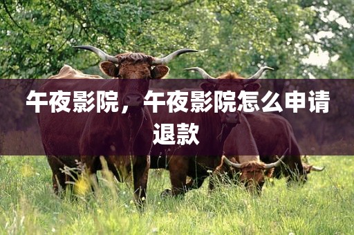 午夜影院，午夜影院怎么申请退款