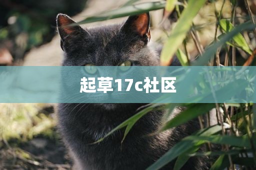起草17c社区