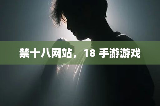 禁十八网站，18 手游游戏