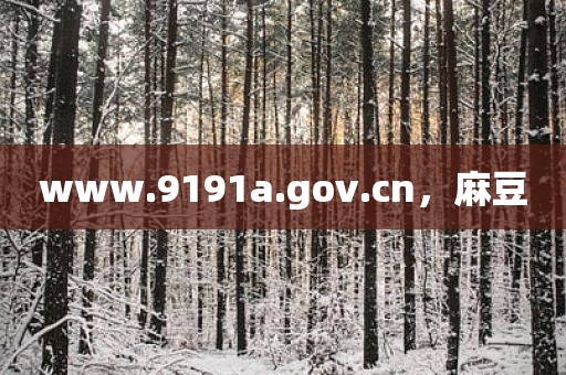 www.9191a.gov.cn，麻豆
