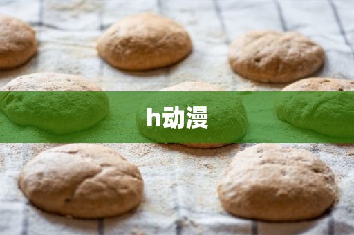 h动漫