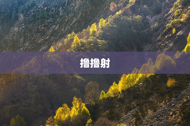 撸撸射
