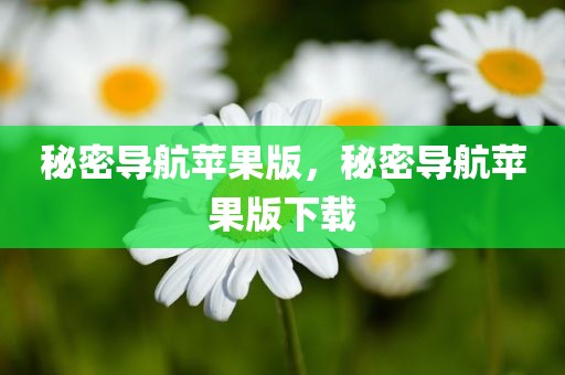 秘密导航苹果版，秘密导航苹果版下载