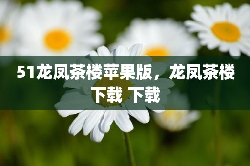51龙凤茶楼苹果版，龙凤茶楼下载 下载