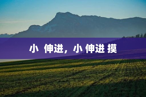 小  伸进，小 伸进 摸