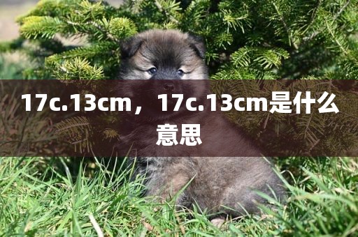 17c.13cm，17c.13cm是什么意思