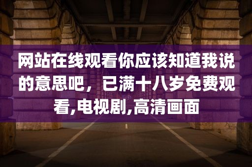 网站在线观看你应该知道我说的意思吧，已满十八岁免费观看,电视剧,高清画面