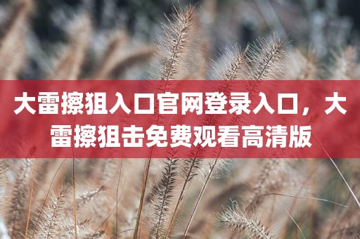 大雷擦狙入口官网登录入口，大雷擦狙击免费观看高清版