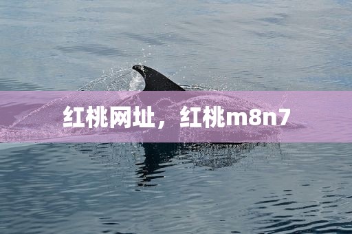 红桃网址，红桃m8n7