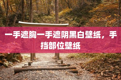一手遮胸一手遮阴黑白壁纸，手挡部位壁纸