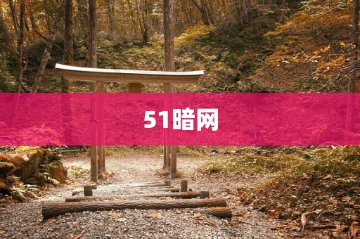 51暗网