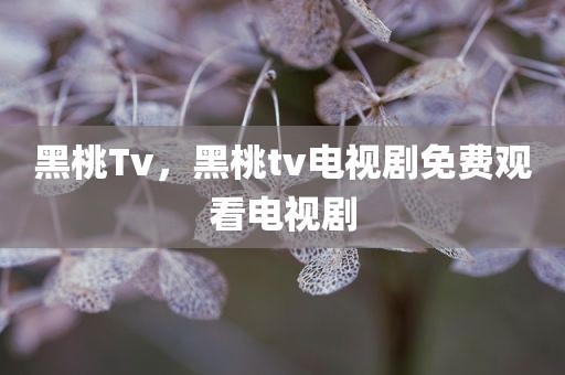 黑桃Tv，黑桃tv电视剧免费观看电视剧