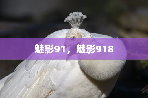 魅影91，魅影918