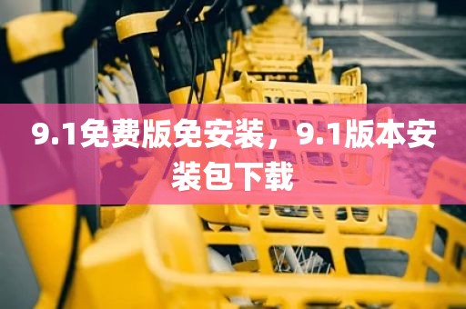 9.1免费版免安装，9.1版本安装包下载
