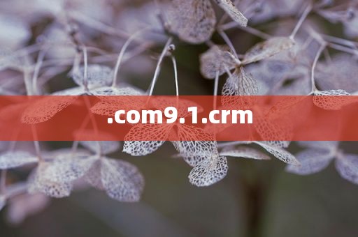 .com9.1.crm